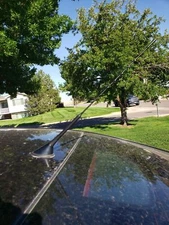 16" Antenna Mast Black Power Rod Radio AM/FM for CHEVROLET CAPRICE 2011-2017 New