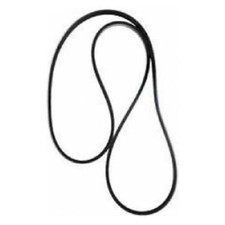 Cinghia poly v 790 j 12 per betoniera 250/300/350 polieri silenziata