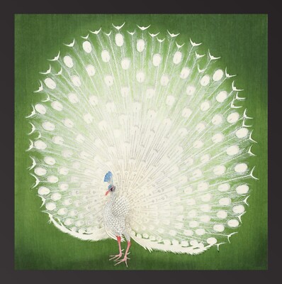 THE WHITE PEACOCK by Ohara Koson