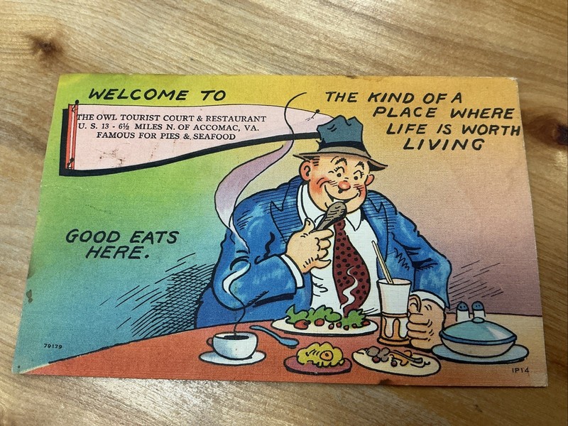 Vintage Postcard The Owl Tourist Court & Restaurant 6 1/2 Miles N. Accomack, Va
