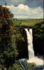 Rainbow Falls Hilo Hawaii~ African Tulip trees~ waterfall~ 1960s postcard