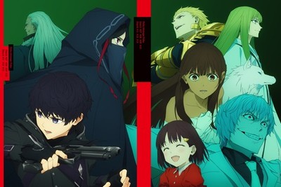 Fate/strange Fake Blu-ray Disc BOX Limited Edition in Japanese NEW