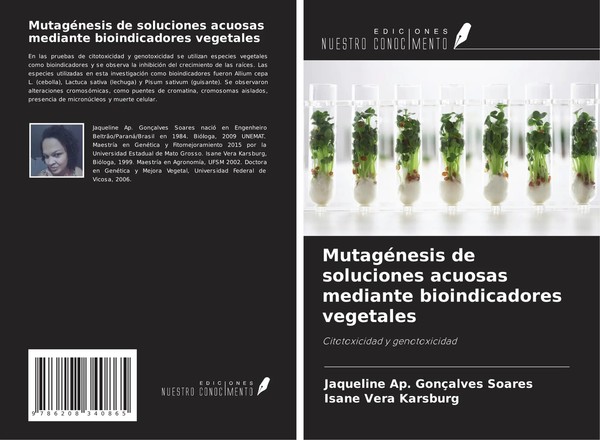 Jaqueline Ap. GonçAlves Soares (U. A.) | MutagéNesis De Soluciones Acuosas...-image