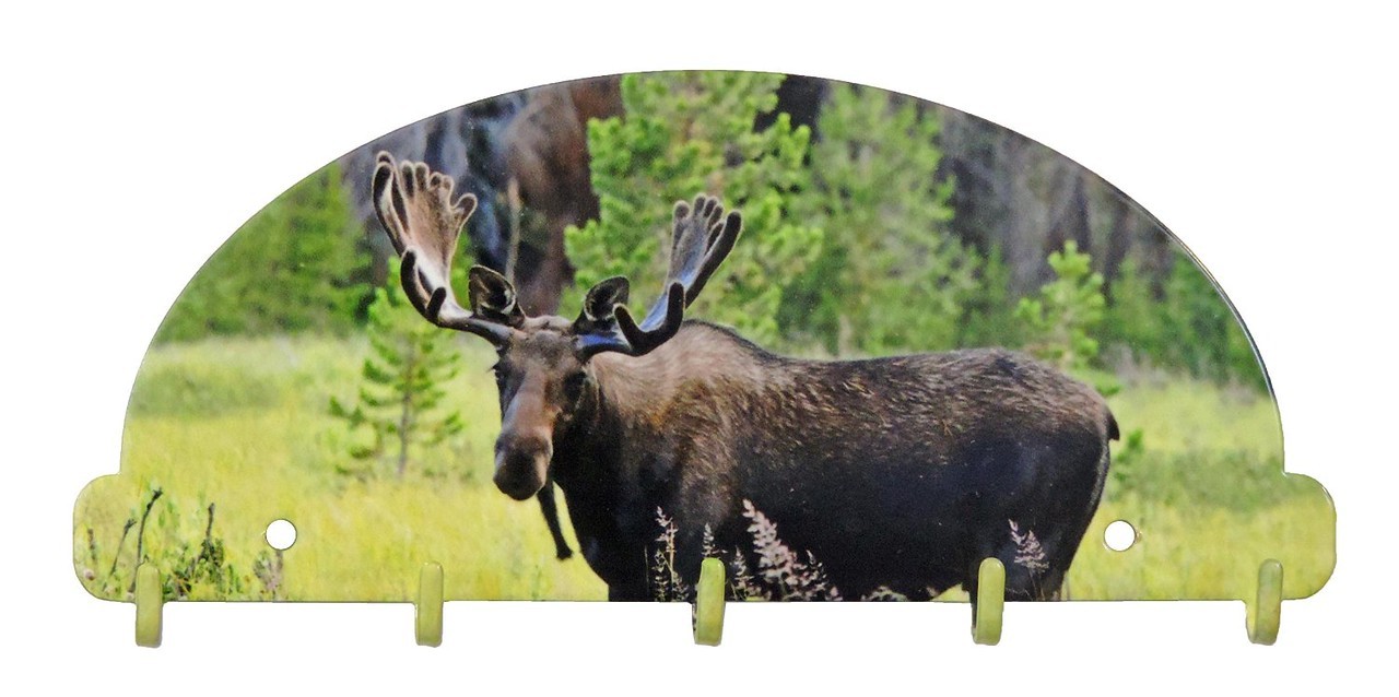 Bull Moose Key Rack 5 Hook Metal Wall Art Lodge USA Made | eBay