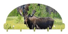 Bull Moose Key Rack 5 Hook Metal Wall Art Lodge USA Made