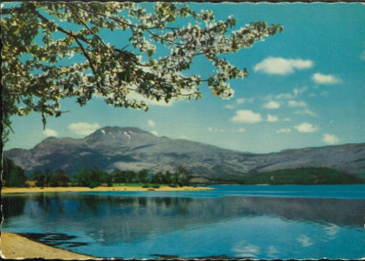 Great Britain - Scotland - Schottland - Loch Lomond - Dunbarton-shire