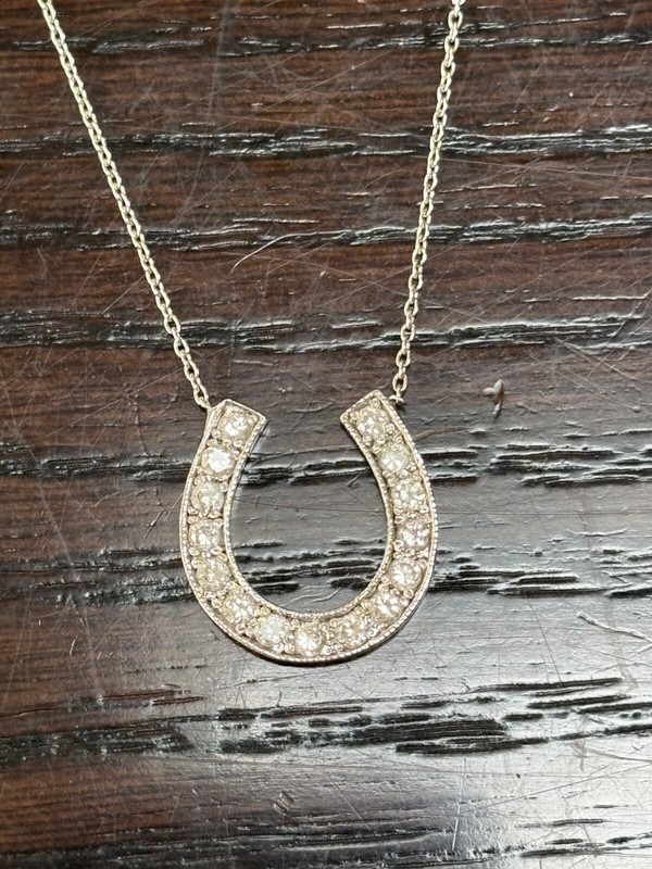 925 Sterling Silver Cz Horseshoe Pendant 3/4 in. Necklace Womens Girl  18" Chain