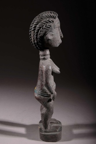 Colon Agni 2564 - Photo 7 sur 13