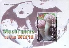 P) 2007 GRENADA CARRIACOU AND PETITE MARTINIQUE, MUSHROOM OF THE WORLD, SOUVENIR