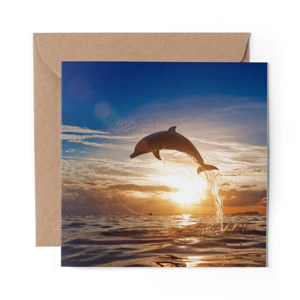DV DESIGN 1 x Blank Greeting Card Sunset Jumping Dolphin at Sea #21202