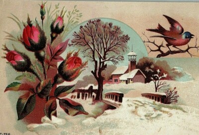 R Sauder & Co To Our Patrons Floral Winter Scene Victorian Trade Card Akron OH