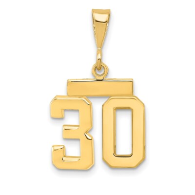 14K Yellow Gold Small Polished Number 30 Charm SP30