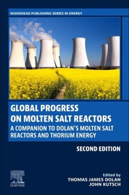 Global Progress on Molten Salt Reactors: A Companion to Dolan s Molten Salt