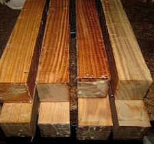 EIGHT (8) BLACK LOCUST TURNING BLANKS LUMBER LATHE WOOD BLOCKS 2" x 2" x 12"