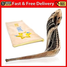 Handcrafted Kosher Ram Shofar from Israel   12-14 Musical Horn with Bag  