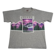 Vintage 1993 Oneita Colorado Scenic Graphic T-Shirt Large Made in USA