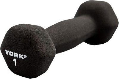York Barbell Neoprene Hexagon Dumbbells with Cast Ergo Handle 1lb Pack 1 Durable
