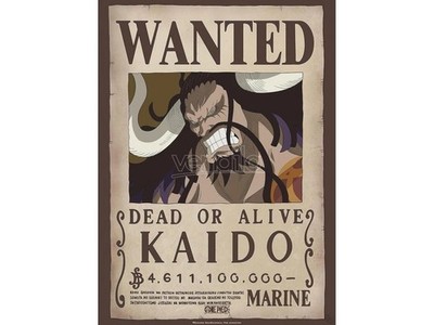 One Piece - Steckbrief  Wanted Kaido  52 x 38 cm AbyStyle