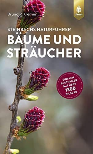 Baume Straucher Nachbarrecht