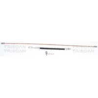 Triscan Bremsschlauch 8150 29235