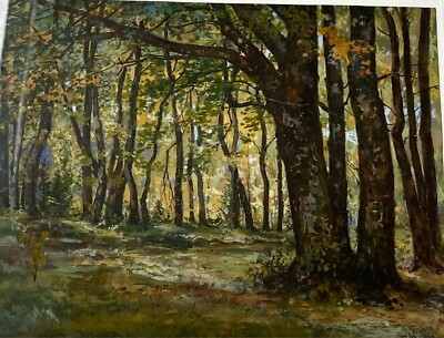 Michael ruppe Watercolor/Gouache Forest Scene   Framed