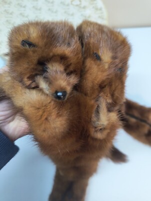 Vintage Mink Stole 4 Pelt Fur 1950' Rare Mouth Clip Box Included