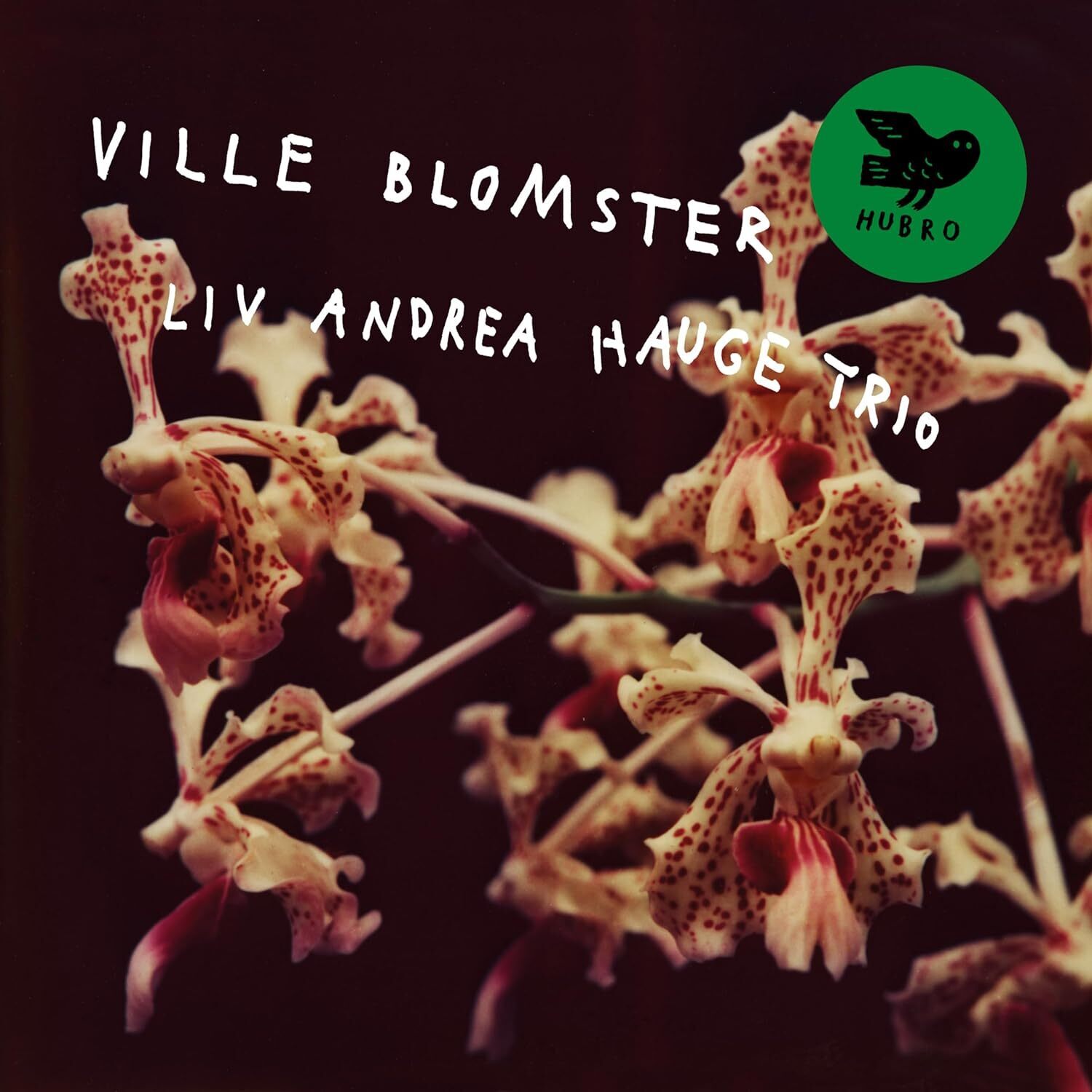 Liv Andrea Hauge Trio Ville Blomster (CD) Album