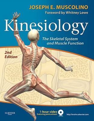 .net Developers Ser.: Kinesiology : The Skeletal System and Muscle.. 2nd Edition