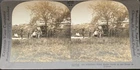 AMERICAN FIELD RADIO OUTFIT ON THE FRONT LINES FRANCE WW1 STEREOVIEW W246