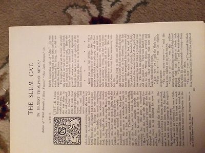 u2-2 ephemera 1905 story the slum caternest thompson seton