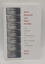 More Beautiful and More Terrible The Embrace Transcendence of Racial Inequalitie