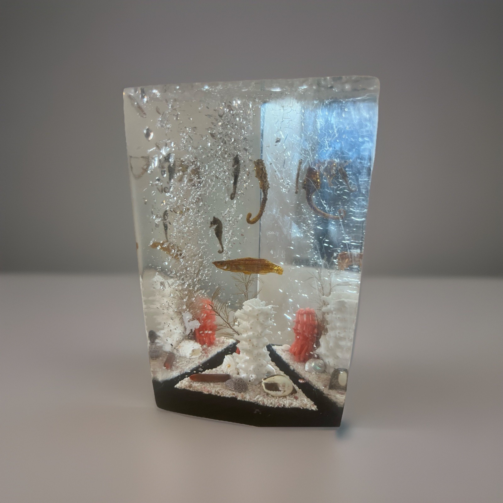 VINTAGE LUCITE OCEAN BEACH DECOR DIORAMA WITH SHELLS & SEA FISH HORSES