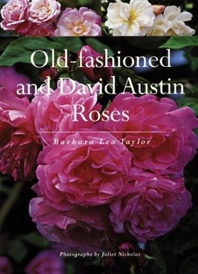 Old-Fashioned and David Austin Roses, Taylor, Barbara L