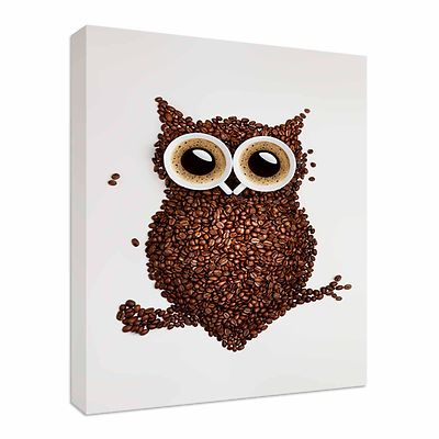 Kaffeebohnen Eulenaugen Leinwand Wandbild Bild Druck