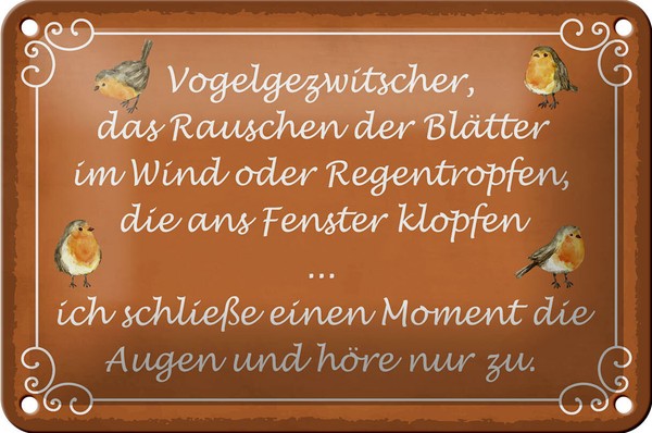 Blechschild Spruch 18X12 Cm Vogelgezwitscher Vogel Metall Deko Schild Tin Sign-image