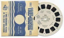California Wild Flowers USA 1940's Sawyer's View-Master Single Reel 291
