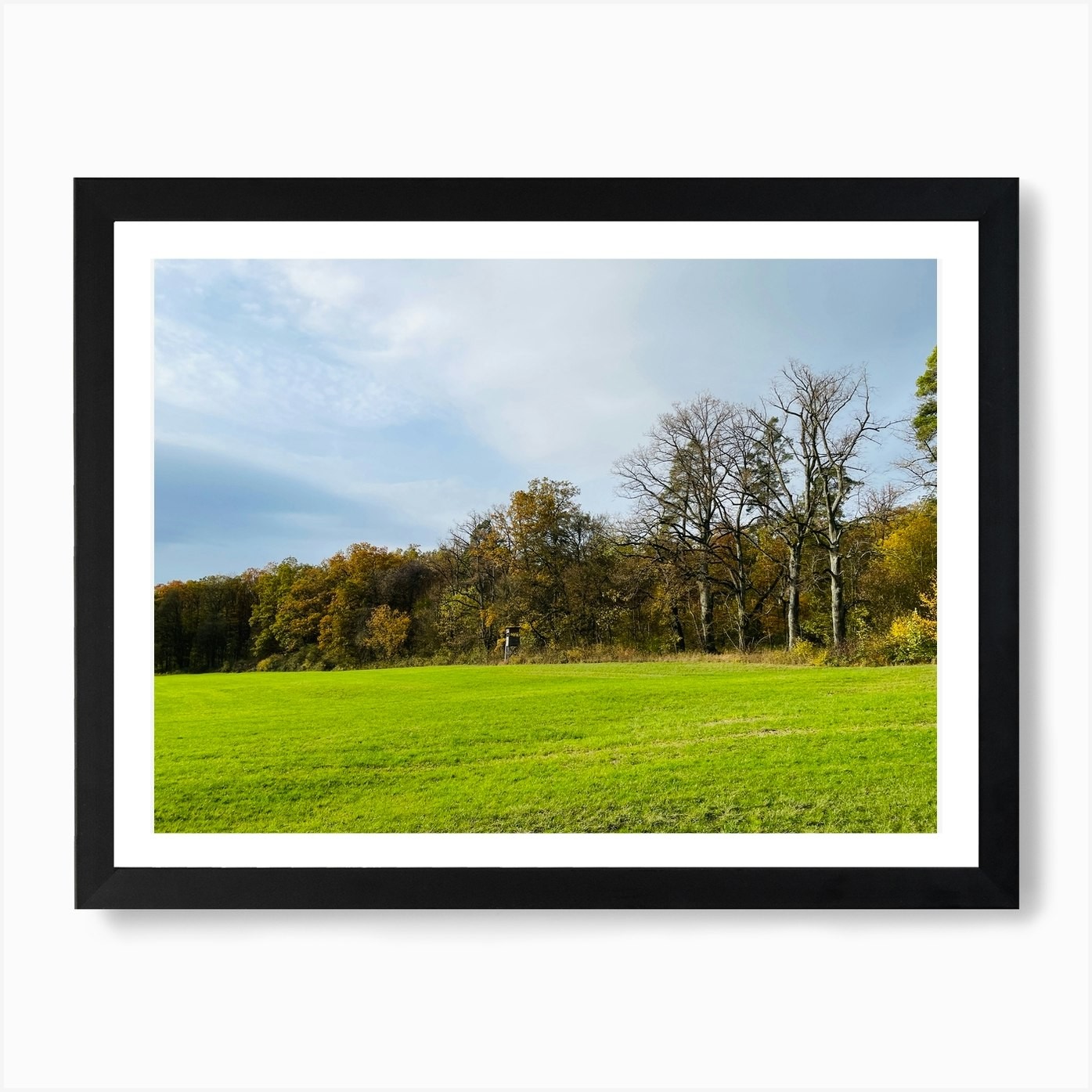 Autumn Trees In A Field Art Print Framed Wall Art Poster Canvas Print Picture