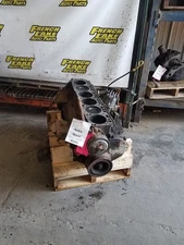 Core Short Block Engine 4.9L VIN Y Fits 1991 FORD F150 1243062