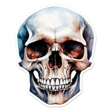 Realistic Skull, Vinyl Decal Sticker, Indoor Outdoor, 3 Sizes, 11621