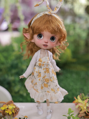 Elf Ears/Normal Ears BJD Doll 1/6 Girl Resin Joints Big Eyes Wig