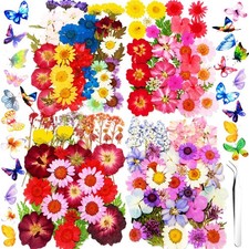 Dried Pressed Flowers for Resin Crafts, 183 PCS Bulk Real Dried Flower Kit an...