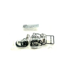 124008 310 KIT Valve Repair Kit