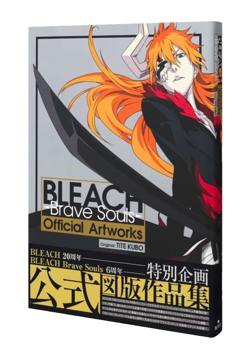 Bleach Art Book | eBay