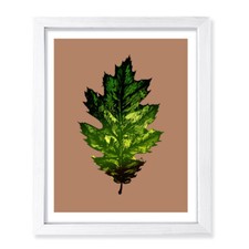 Designs ByLITA Oak Leaf, Wall Print Art Home Decor Unframed or Framed