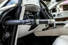 1x NEW Door Insert Umbrella for Phantom Ghost Dawn Wraith Drophead Cullinan