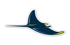 Tampa Bay Rays Precision Cut Decal / Sticker