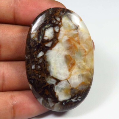 Natural Wild Horse Jasper Cabochon 66 Cts Oval 45x30x5mm Lose WH-96