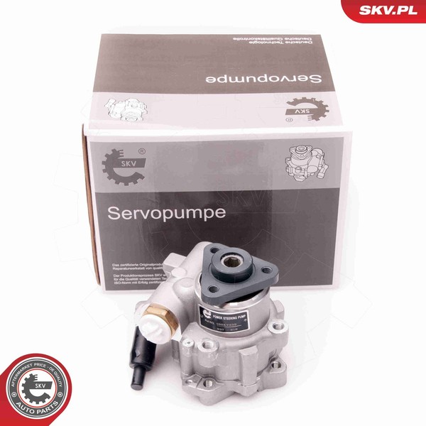 Esen SKV Hydraulikpumpe Lenkung 10SKV239 Aluminium FüR Landrover Freelander 1-image