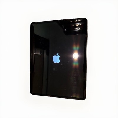 Apple iPad Pro 12.9  (5th gen/2021) 1tb M1 WiFi - Healthy Battery - Gently Used