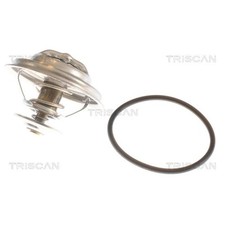 Thermostat BMW M5